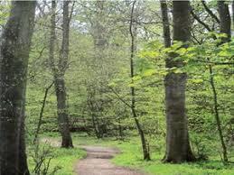 Danes Dyke Nature Reserve